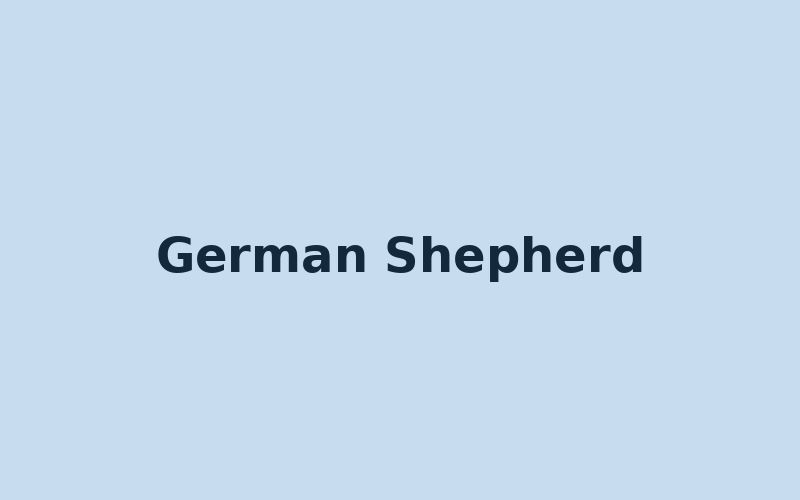 German Shepherd